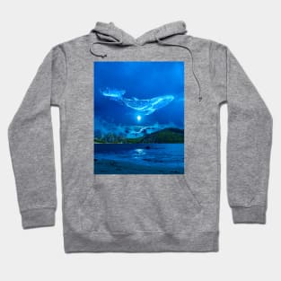 Skyswim Hoodie